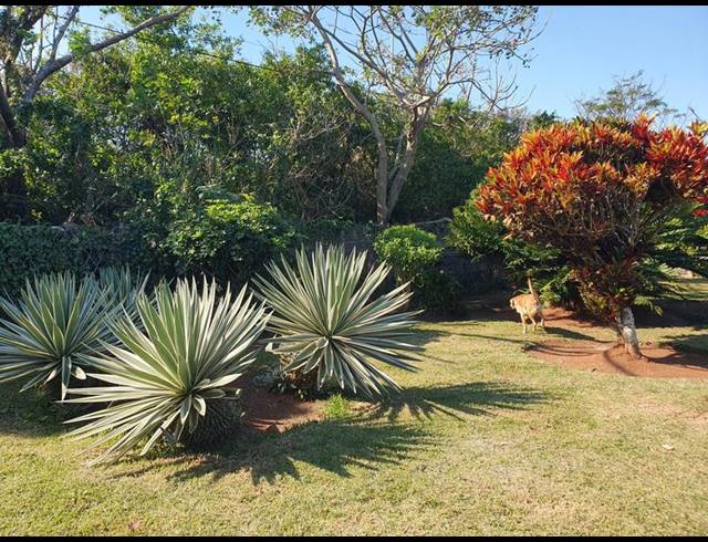4 BEDROOM HOUSE FOR SALE IN MARBURG